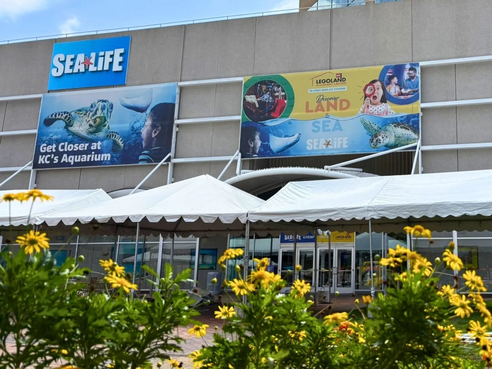 Image for the Point of Interest SEA LIFE Kansas City Aquarium