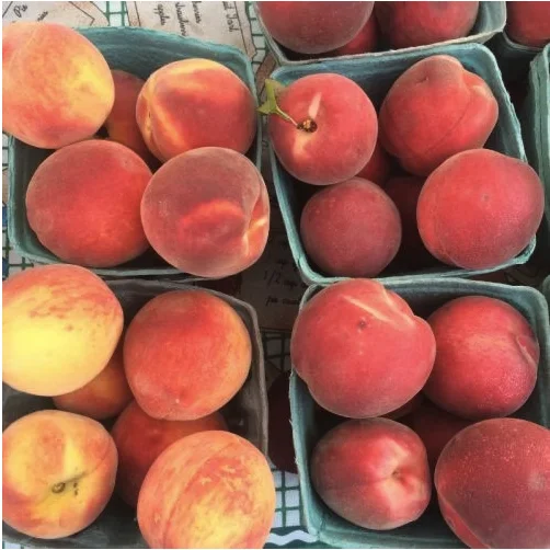 Image for Toledo Farmer' Market