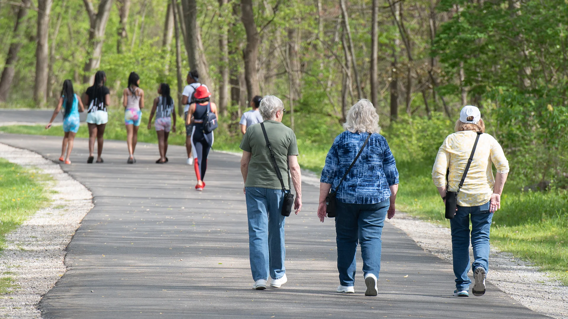 Image for Swan Creek Preserve Metropark