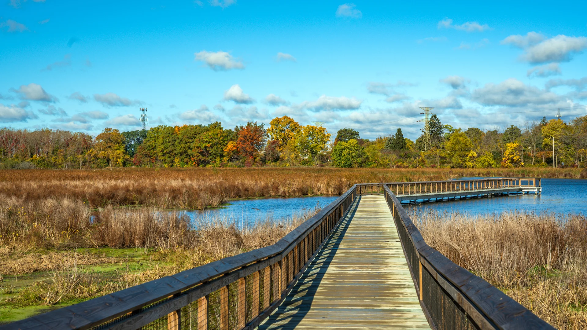 Image for Manhattan Marsh Preserve Metropark