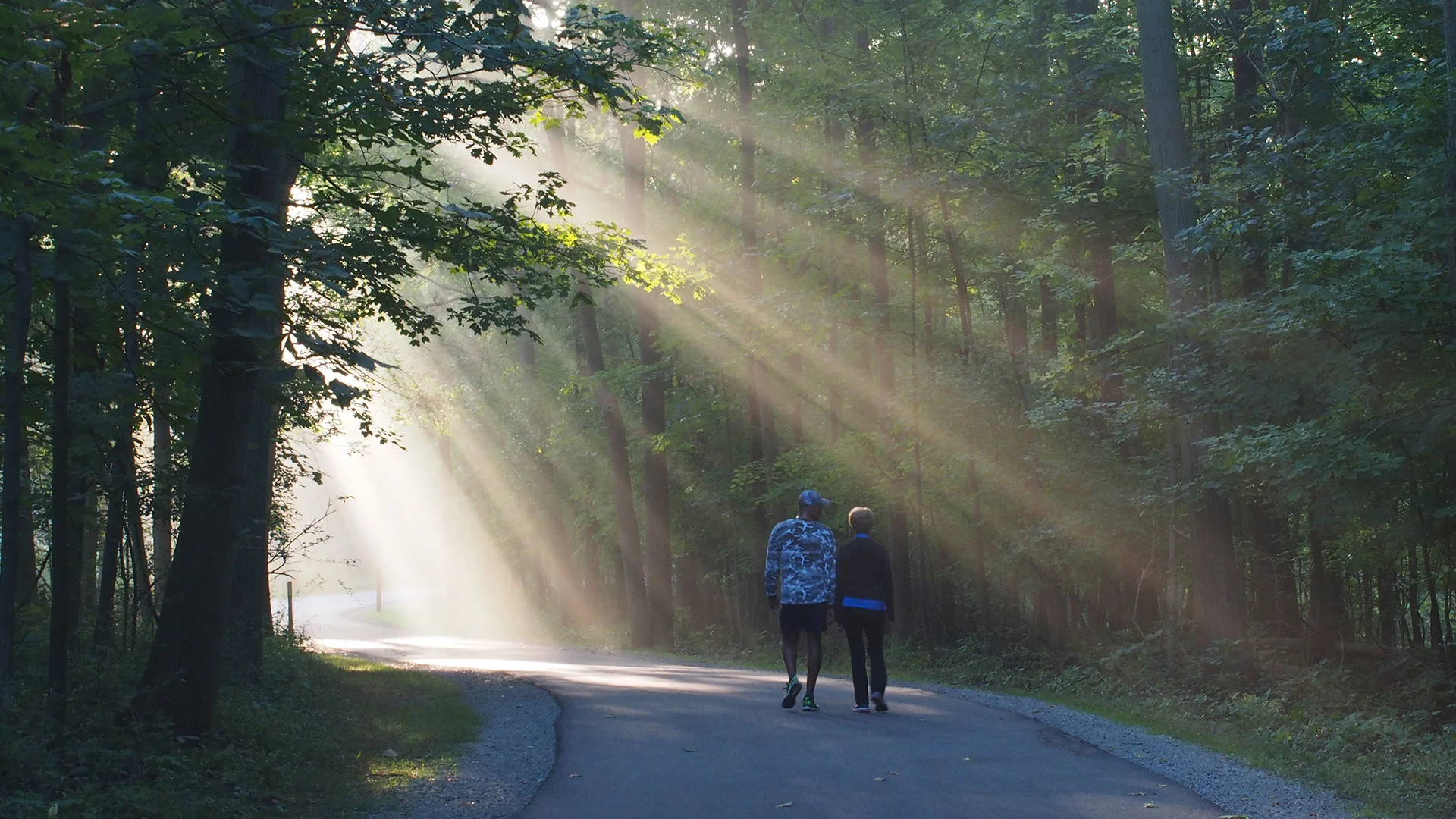 Image for Wildwood Preserve Metropark